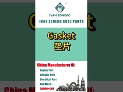 Ivan Zoneko - Gaskets