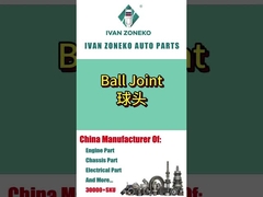 Ivan Zoneko- Bóng chung